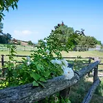 Il Roseto Nyaraló