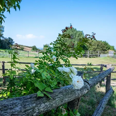 Il Roseto Vakantiehuis