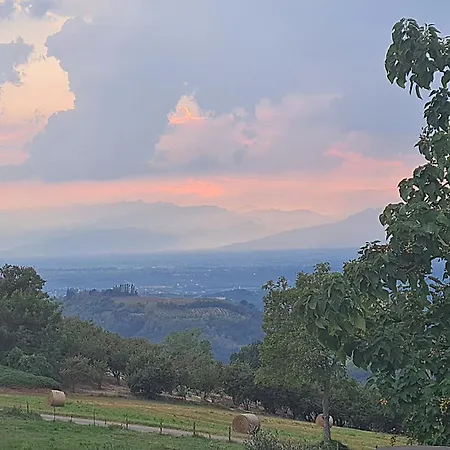 Il Roseto * Somano