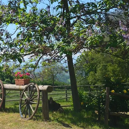 Il Roseto Hébergement de vacances *
