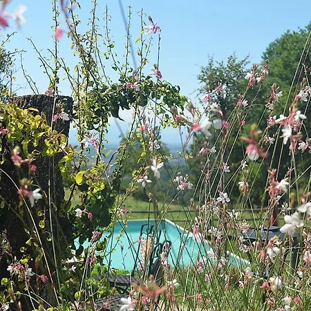 Hébergement de vacances Il Roseto