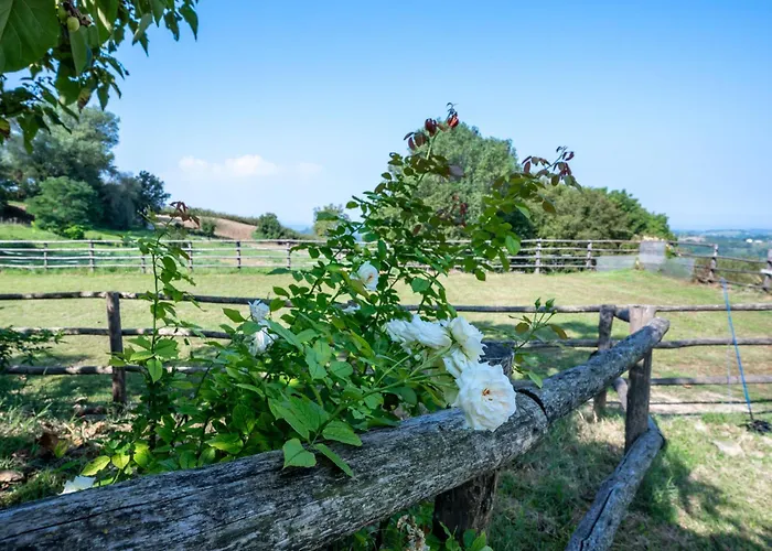 Il Roseto Feriehus
